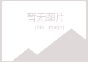 天山区从寒公益组织有限公司